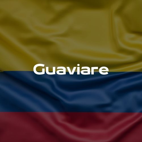 Casas de cambio en Guaviare