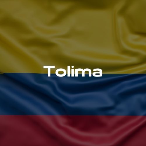 Casas de cambio en Tolima
